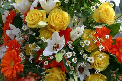 large_1237989772.jpg?1259723808