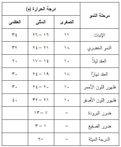 خدمة الطماطم بكل العروات والظروف المناخية الملائمة للعقد والتزهير Large_1234179965