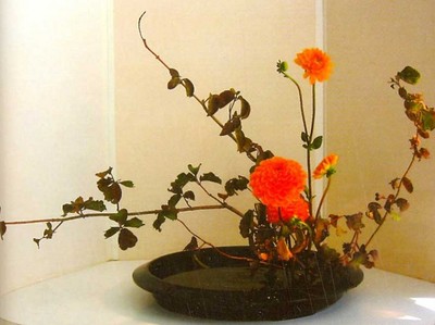 فن تنسيق الزهور على الطريقة اليابانية (إيكيبانا) Large_1234180764