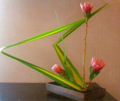 فن تنسيق الزهور على الطريقة اليابانية (إيكيبانا) Large_1234180766