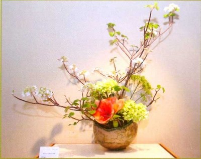 فن تنسيق الزهور على الطريقة اليابانية (إيكيبانا) Large_1234180767