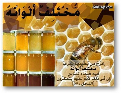 http://www.albetaqa.com/cards/data/media/119/teb0008.jpg