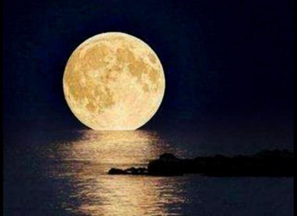 صورة نادرة للقمر وهو في اقرب مسافة من الأرض. الصورة التقطت مؤخرا في رومانيا على ضفاف البحر الأسود  1238253339