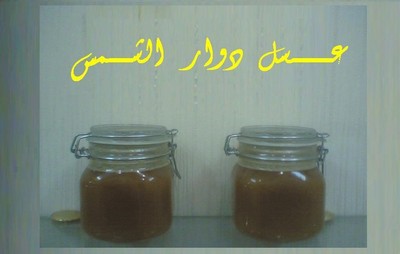 6 أنواع لعسل النحل في مصر  Large_1238403336